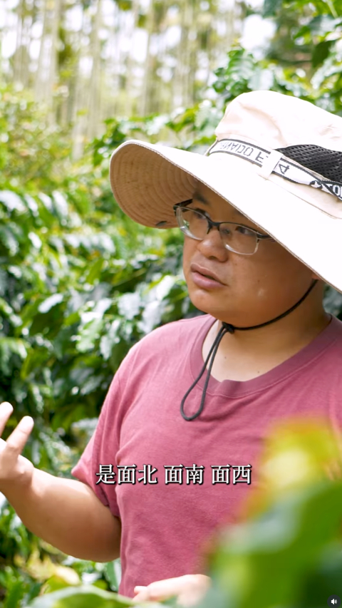 浮洸豆屋-阿里山咖啡的代表性風味