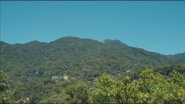 陽明山花葬紀錄