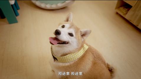 挑旅宿、找金鑰！2025屏東金鑰獎 ��名上線