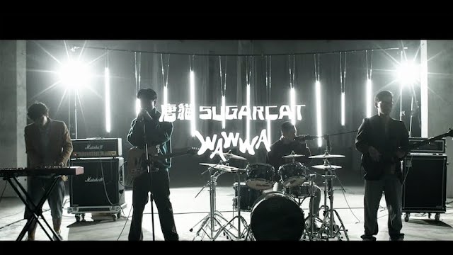 唐貓 SUGARCAT【WAWWA】 Official Music Video