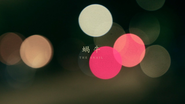 蝸牛 - The Snail