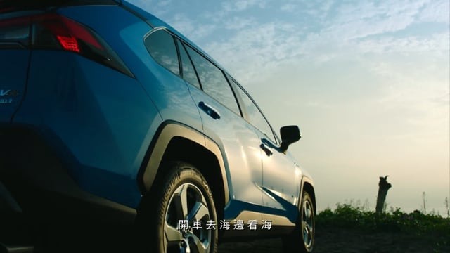 TOYOTA 淨灘影片