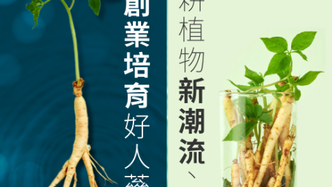 IA玉山歌曲20250818