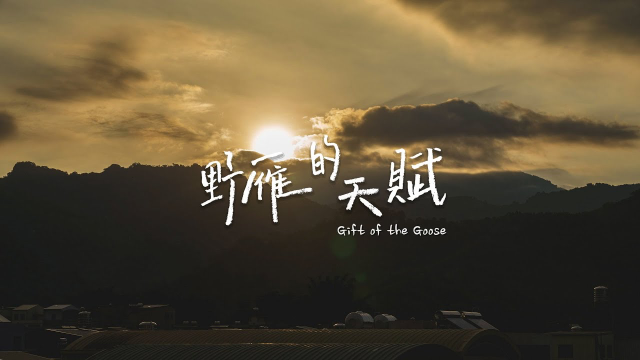 野雁的天賦-完整版 | 共好國際工作隊 (EDEN TASK FORCE) | 伊甸基金會