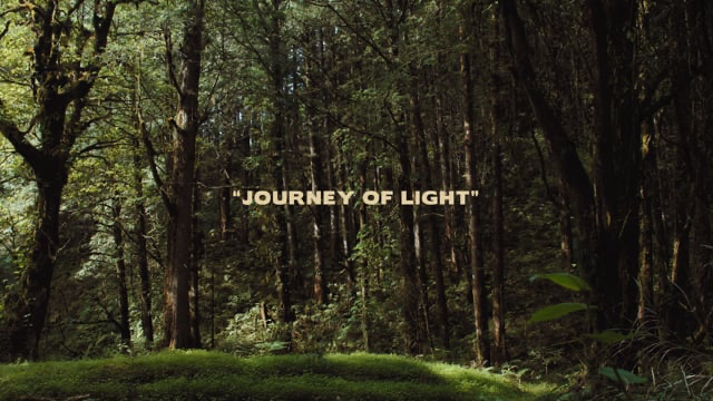Journey of Light
