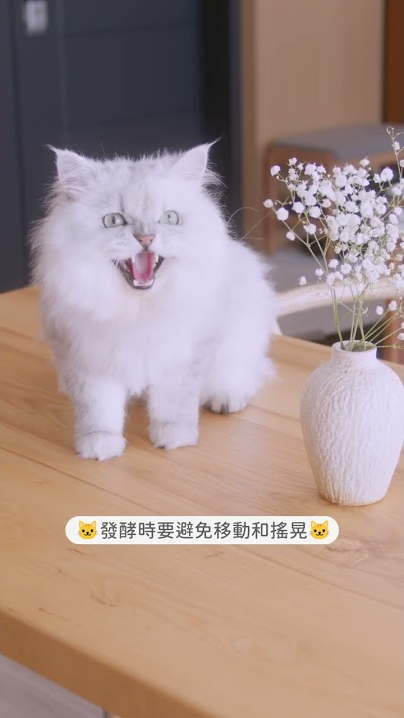 家酪優_自製優格機廣告