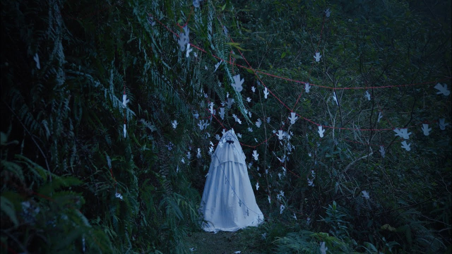 《山林的門徒》| 官方預告片