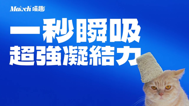 喵趣實驗室：一秒瞬吸篇