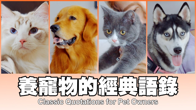 這群人 TGOP │養寵物的經典語錄 Classic Quotations for Pet Owners