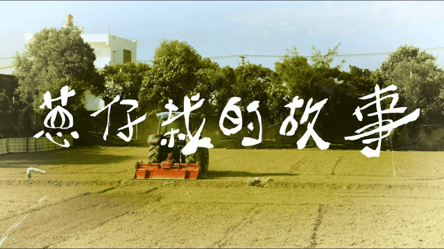 【台南應用科技大學｜多媒體動畫系｜專題製作】蔥仔栽的故事 Onion Father