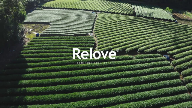 Relove | 您手中的 𝙍𝙚𝙡𝙤𝙫𝙚 是這樣研發的.ᐟ.ᐟ.ᐟ.ᐟ