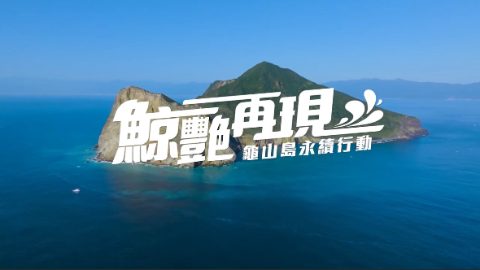 龜山島淨灘活動紀錄 鯨艷再現