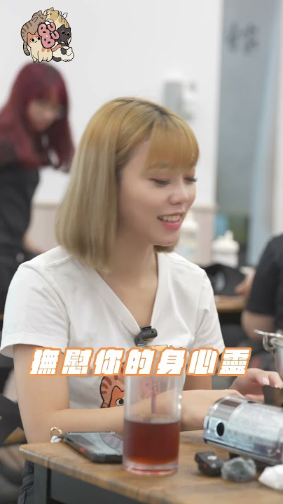 ｜短影音｜位於朝陽大學附近的 #浪愛有家真的是一間很讚的貓咪餐廳😻如果生活壓力、需要宣洩口～或是你很愛貓咪但沒辦法養貓的超級推薦來這邊吃飯嚕貓的💕#走路很小布