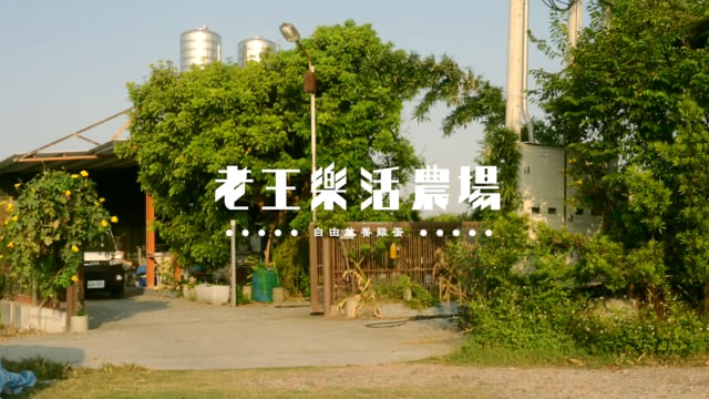 【12生肖職業紀實】老王樂活農場