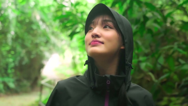 產品影片｜2025山頂鳥春夏 蝙蝠洞篇｜太陽影像製作