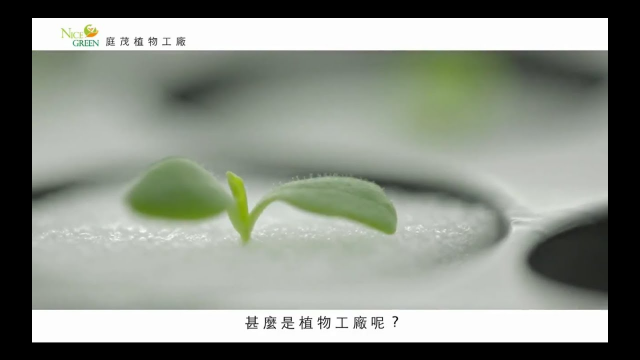 NICE GREEN 庭茂農業生技股份有限公司