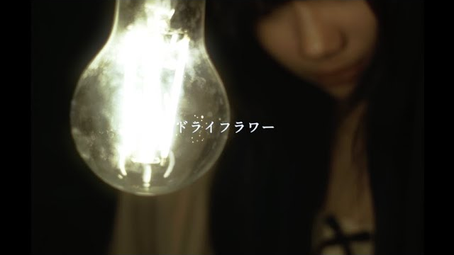 ドライフラワー優里 (covered by Shina)