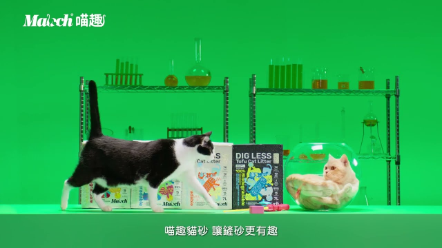 喵趣實驗室：十秒水解篇